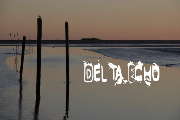 Delta Echo: A Font That Commands Attention in a Crowded Market