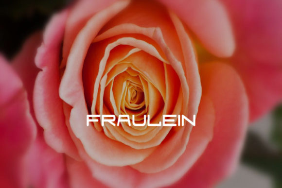 Fraulein: A Sans Serif Font for Modern, Clean Design