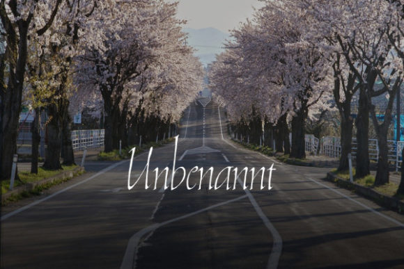 Unbenannt: Adding a Personal Touch to Modern Design